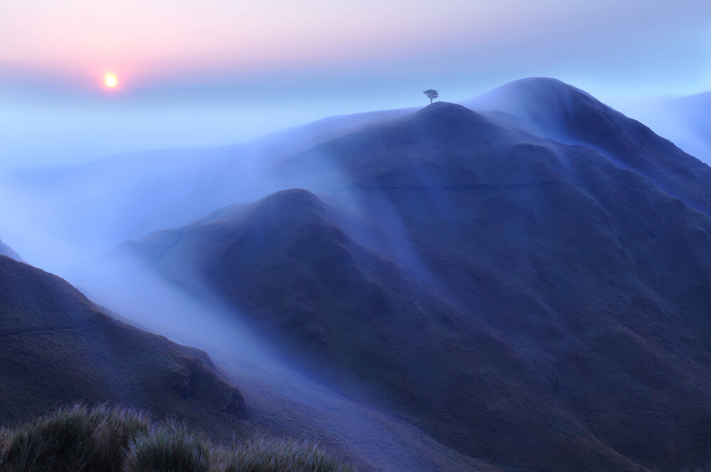 Wandelingen Mount Pulag Filipijnen - Reislegende.nl