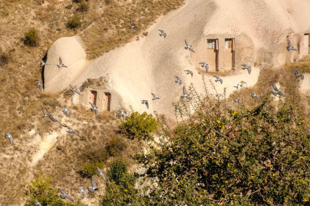 Wat doen en zien in Cappadocie 15 tips Pigeon Valley - Reislegende.nl