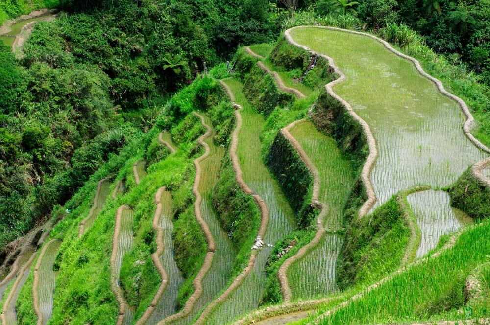 rijstterrassen van Banaue Filipijnen - Reislegende.nl