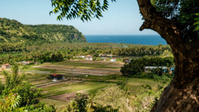 Hoe duur is Bali voor twee weken met vier personen? - Reislegende.nl
