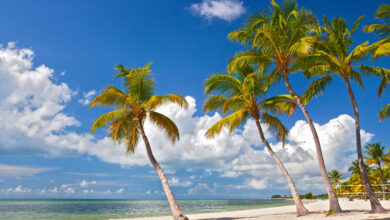 Florida Key West - Reislegende.nl