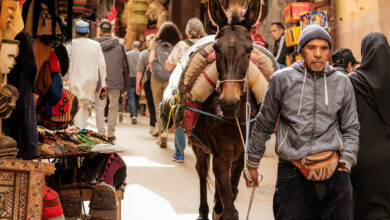 Een dag in medina van Fez Marokko tips Reislegende