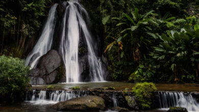 Campuhan Antapan Waterfall Reislegende