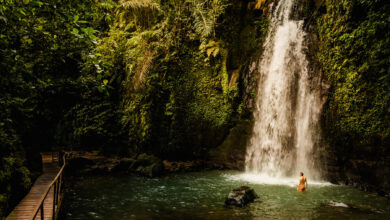 Ulu Petanu Waterfall Bali Reislegende