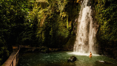 Ulu Petanu waterval Bali Reislegende
