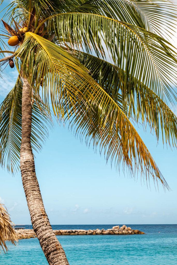 Mooie stranden Curacao Mambo beach Reislegende