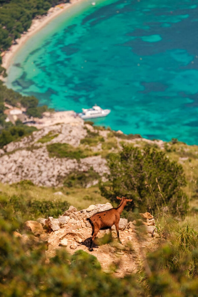 Rondreis Mallorca route Formentor Reislegende