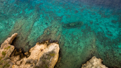 Tugboat Caracasbaai Peninsula Curacao Reislegende