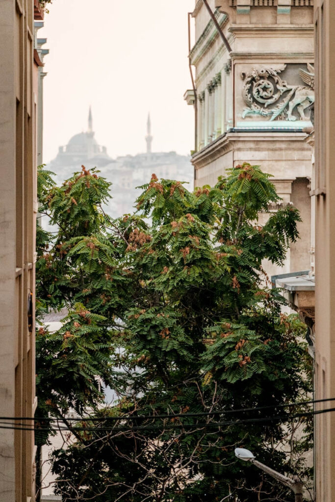 Wat zien in Istanbul tips en bezienswaardigheden Reislegende