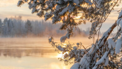 Zomerreis of winterreis naar Saimaa in Finland Reislegende