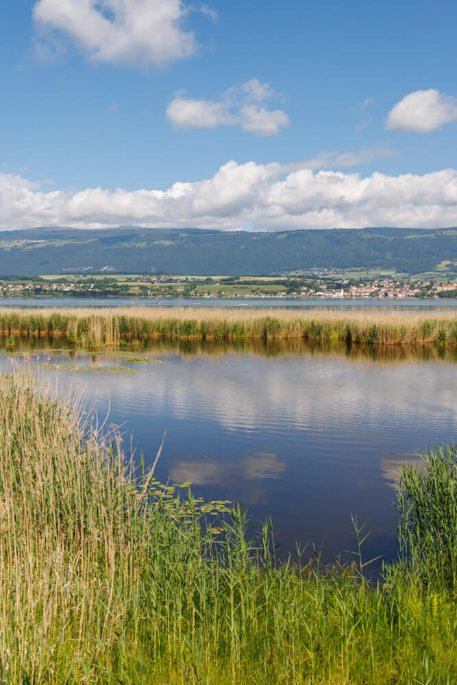 Grande Caricaie Vaud Zwitserland Reislegende