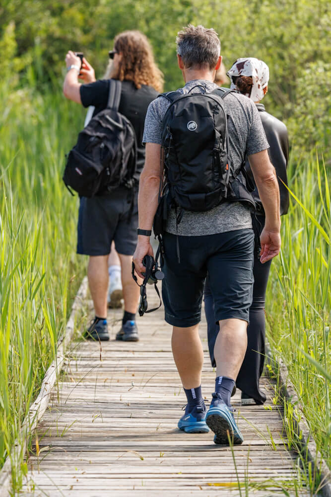 Grande Caricaie wandelroutes Vaud Zwitserland Reislegende