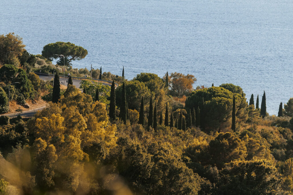 Mooie wegen op Elba Reislegende