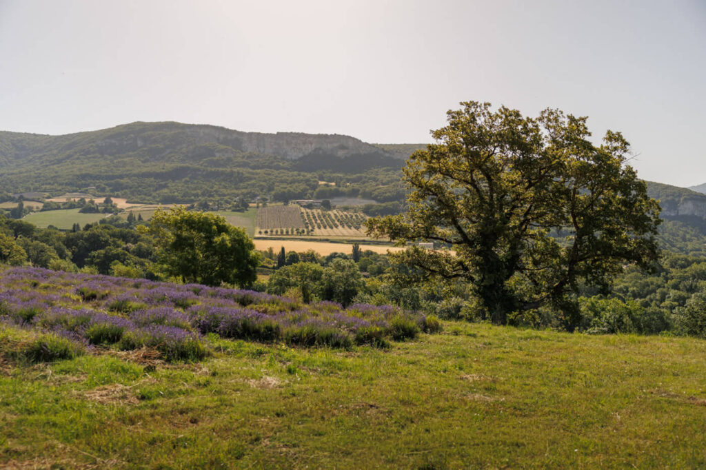 Roadtrip door de Drome en Provence Frankrijk Reislegende