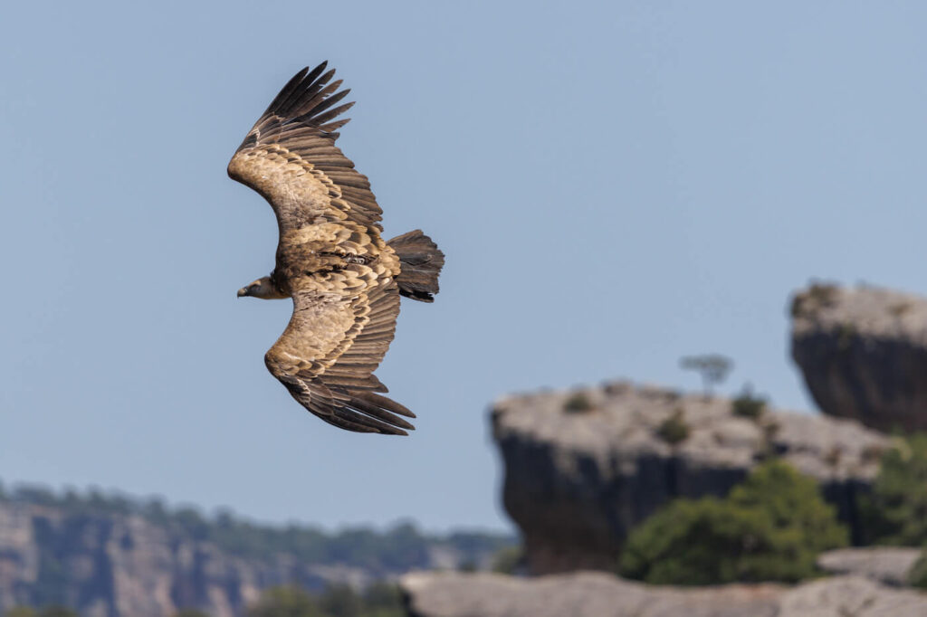 Ventano del Diablo Cuenca Spanje vale gieren fotograferen Reislegende