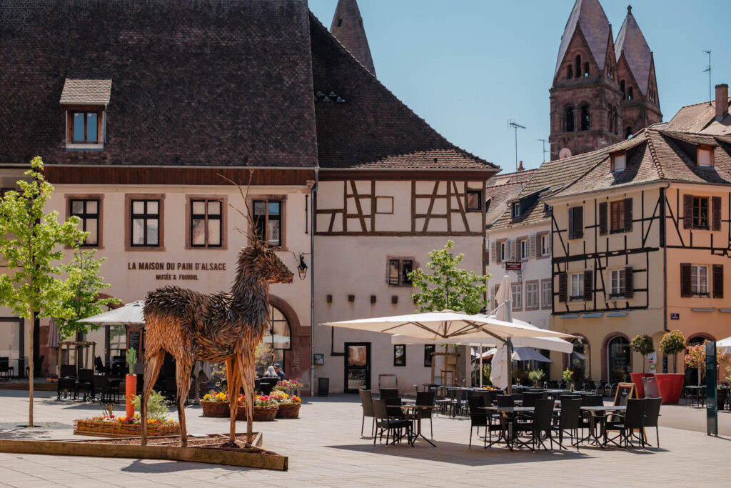 Maison du Pain d Alsace in Selestat Elzas Frankrijk Reislegende