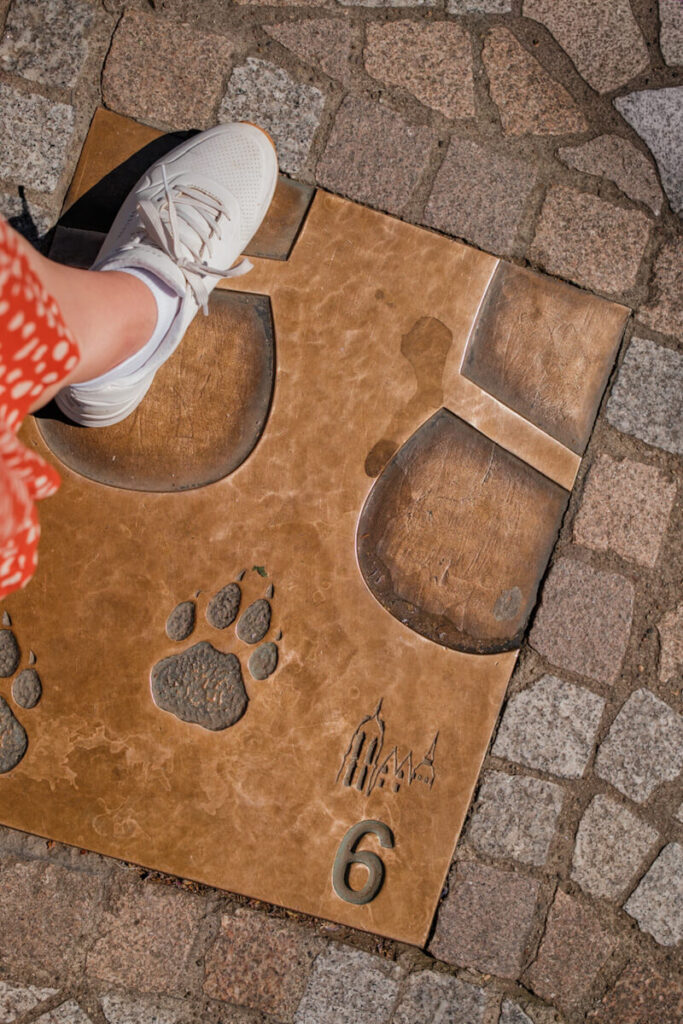 Uitgezette wandeling door Selestat Frankrijk Reislegende